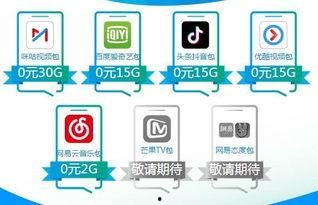 头条特定流量包,精准触达目标受众的秘密武器