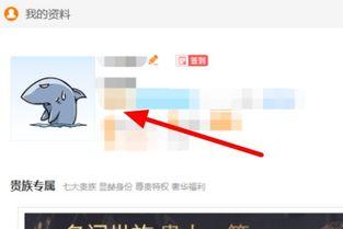 斗鱼如何用头条认证账号,如何利用头条认证账号轻松开启直播新篇章