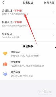 头条怎么实名论证,如何确保网络信息安全与用户权益