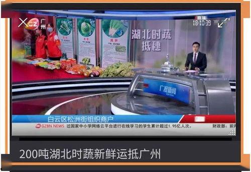 广州时报爆料新闻,揭秘某事件背后惊人真相