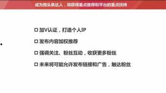 头条带货文章规则怎么写,【爆款必看！揭秘头条带货文章副标题的黄金法则】