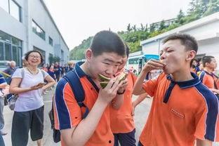 南京交警吃瓜群众,一场意外引发的全民热议