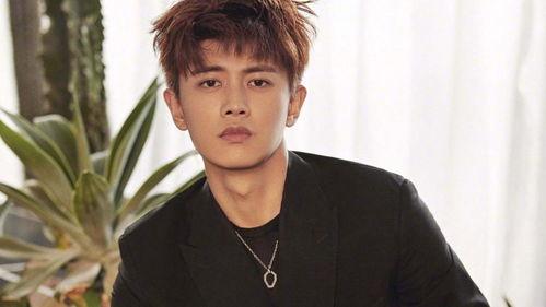 任嘉伦最新大爆料,独家爆料令人震惊