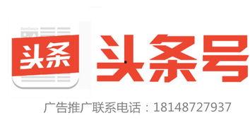 仙桃今日头条日签新闻,聚焦城市动态，共话发展新篇