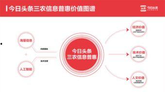 高棉乡今日头条,探寻柬埔寨乡村魅力，感受异域风情