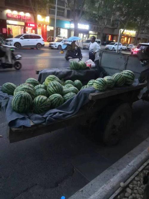 吃瓜打地铺,揭秘夏日纳凉新潮流