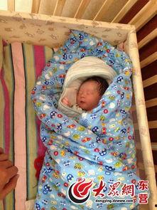 网红秦梓晨,从网络红人到影响力领袖的蜕变之路