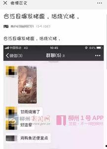 猪瘟最新爆料视频播放,视频揭示疫情真相与防控措施