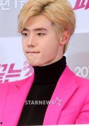 韩国流感明星,病毒下的闪耀星光