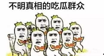 在线吃瓜你懂的,揭秘“在线吃瓜”背后的娱乐现象