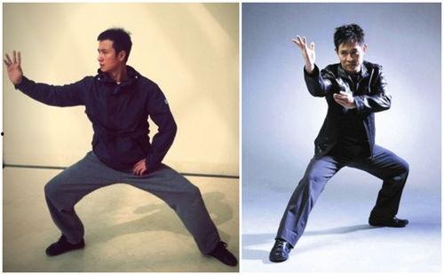 介绍中国武打明星作文,传承与荣耀的武术传奇