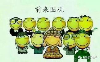 老汪吃瓜有话说,揭秘娱乐圈那些不为人知的幕后故事