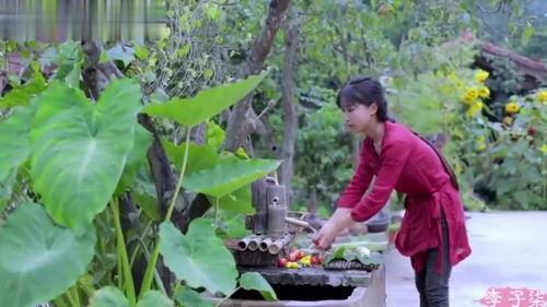 网红李子柒做法视频播放,带你领略传统手艺之美