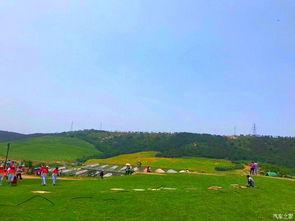 上海周边哪里有网红草原