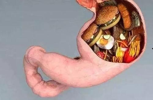 吃活人内脏瓜好吗,健康还是禁忌？