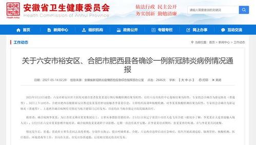 沈阳头条新增病例详情,追踪病毒传播链，全力保障市民健康安全