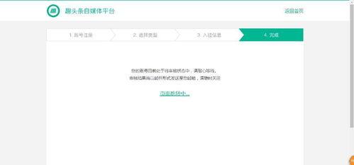 头条自媒体博主收入,收入背后的秘密与机遇